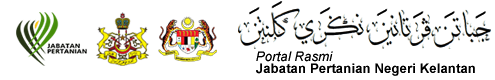 JPKN